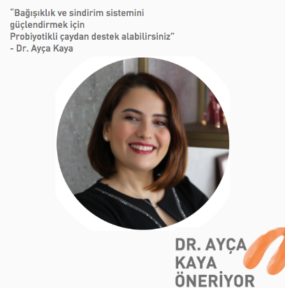 aycakayaproje aycakayaproje