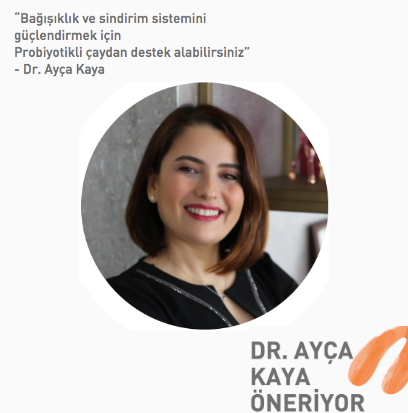 aycakayaproje